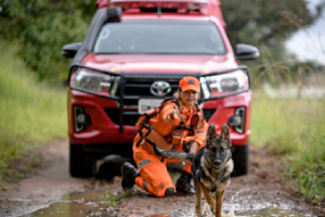 Busca, Resgate e Salvamento com Cães