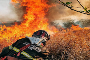 Incêndio Florestal